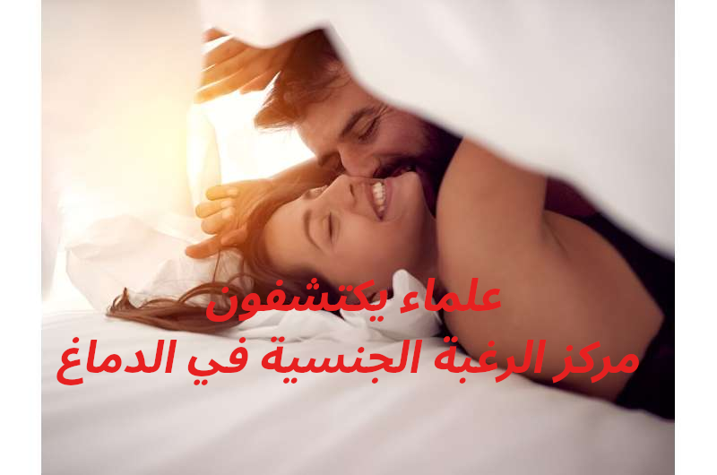 العلماء يكتشفون مركز الدماغ المسؤول عن الرغبة الجنسية للذكور