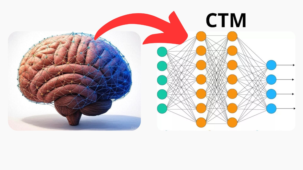 آلة التفكير المستمر CTM:نحو شبكات عصبية اصطناعية أقرب لنظيرتها البيولوجية