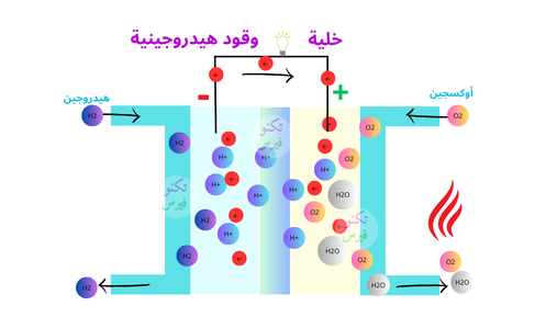 h2_cell