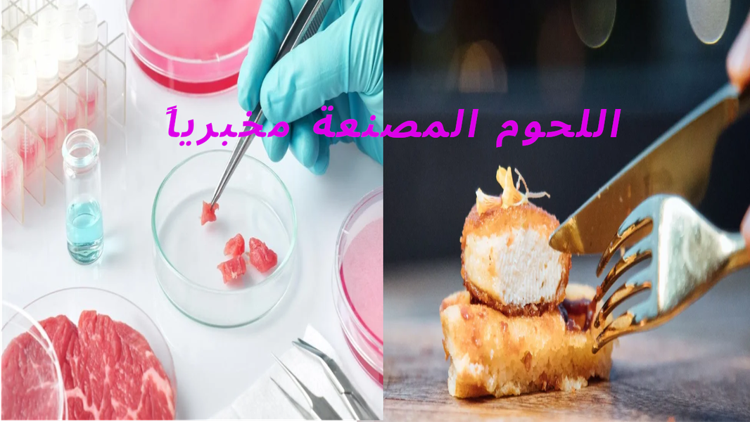 اللحوم المصنعة مخبرياً...هل تُنهي تربية المواشي؟