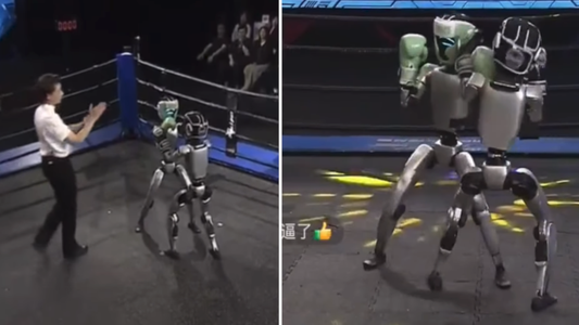 robo-fight