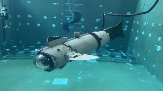 robotic-fish