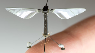 الروبوت النحلة RoboBee ماهو وبماذا يفيد؟
