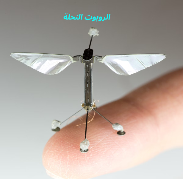 الروبوت النحلة RoboBee ماهو وبماذا يفيد؟